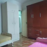 O Ape No Guaruja